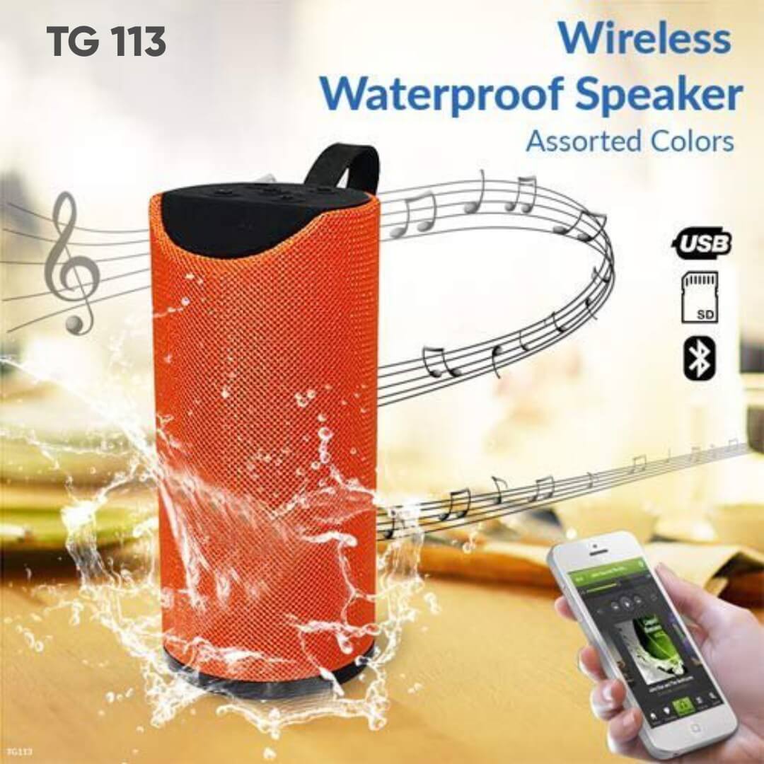 TG 113 Wireless Speaker