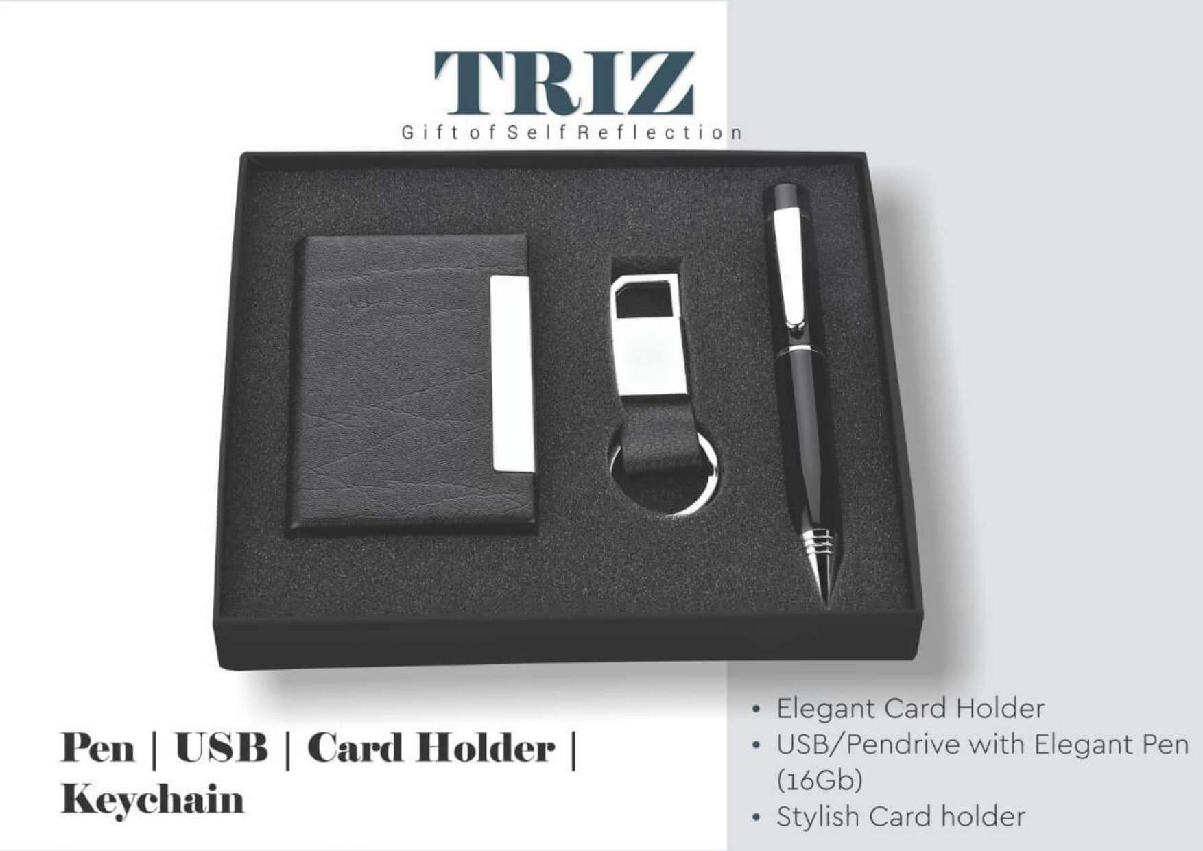 Pen with Usb , Card Holder, Keychain Set Triz